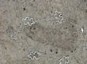 5, 3/4 hand formed puzzle pieces attached to a beautiful sterling silver chain. $32.00